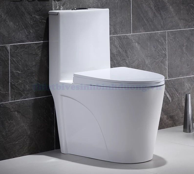 Bồn cầu sứ Canary CA-C01